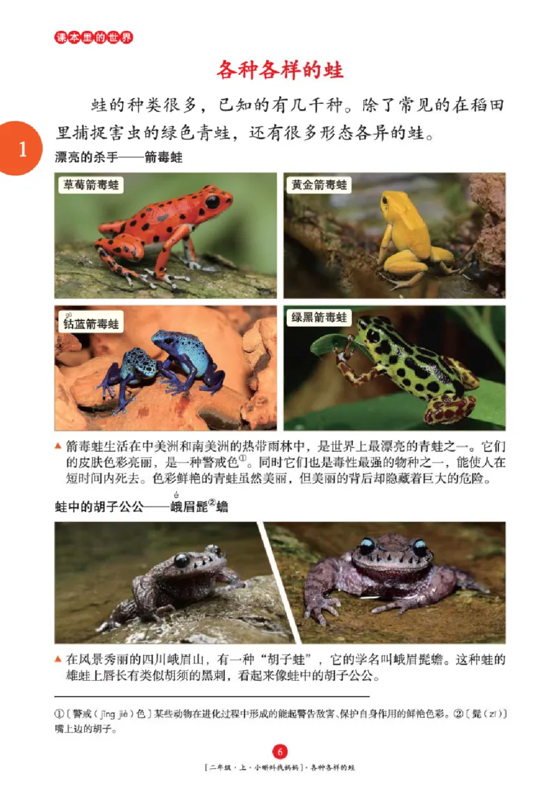 2年级-年级阅读_二年级上下册资料_小学二年级学习资料-25年更新版_2-01、小学二年级语文上册_2-1-2、练习题、作业、试题、试卷_电子册类_《绘本课堂》语文2年级上册（RJ）