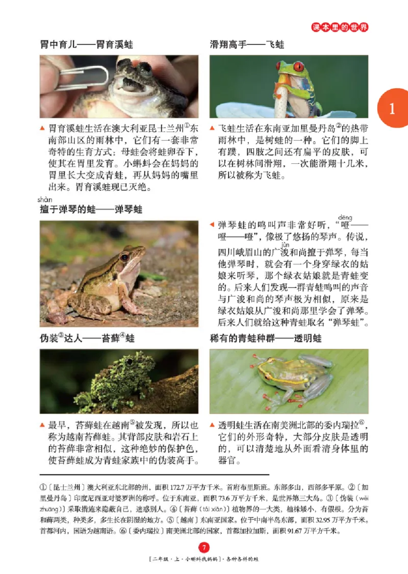 2年级-年级阅读_二年级上下册资料_小学二年级学习资料-25年更新版_2-01、小学二年级语文上册_2-1-2、练习题、作业、试题、试卷_电子册类_《绘本课堂》语文2年级上册（RJ）