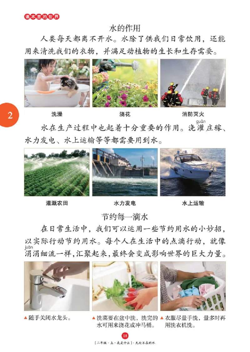 2年级-年级阅读_二年级上下册资料_小学二年级学习资料-25年更新版_2-01、小学二年级语文上册_2-1-2、练习题、作业、试题、试卷_电子册类_《绘本课堂》语文2年级上册（RJ）