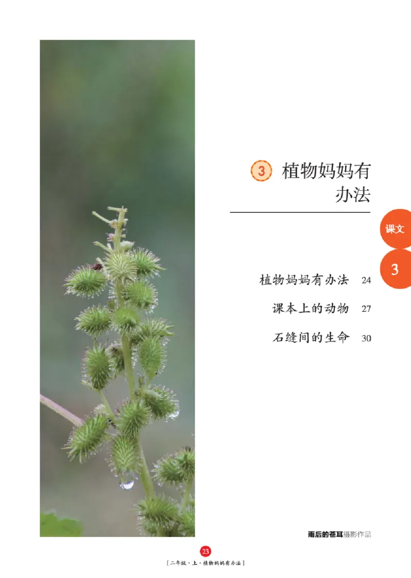 2年级-年级阅读_二年级上下册资料_小学二年级学习资料-25年更新版_2-01、小学二年级语文上册_2-1-2、练习题、作业、试题、试卷_电子册类_《绘本课堂》语文2年级上册（RJ）