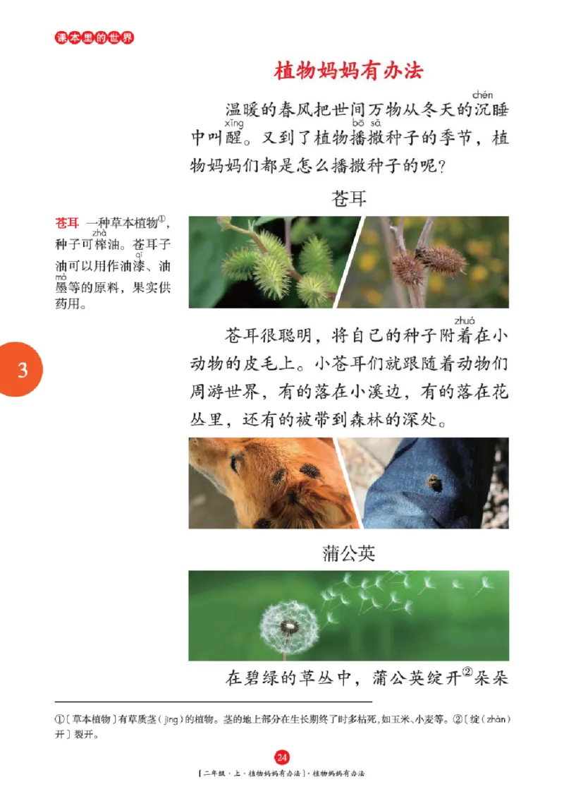 2年级-年级阅读_二年级上下册资料_小学二年级学习资料-25年更新版_2-01、小学二年级语文上册_2-1-2、练习题、作业、试题、试卷_电子册类_《绘本课堂》语文2年级上册（RJ）