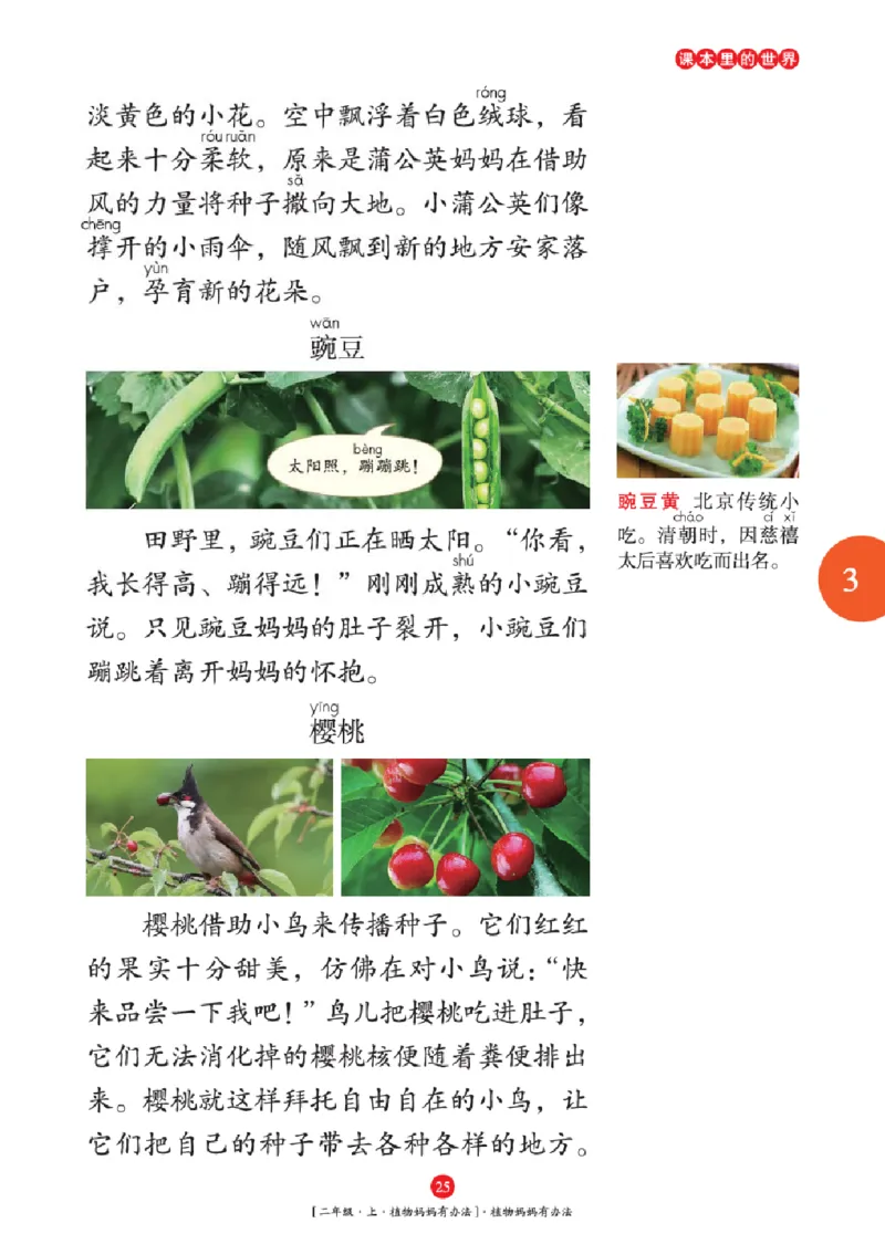 2年级-年级阅读_二年级上下册资料_小学二年级学习资料-25年更新版_2-01、小学二年级语文上册_2-1-2、练习题、作业、试题、试卷_电子册类_《绘本课堂》语文2年级上册（RJ）
