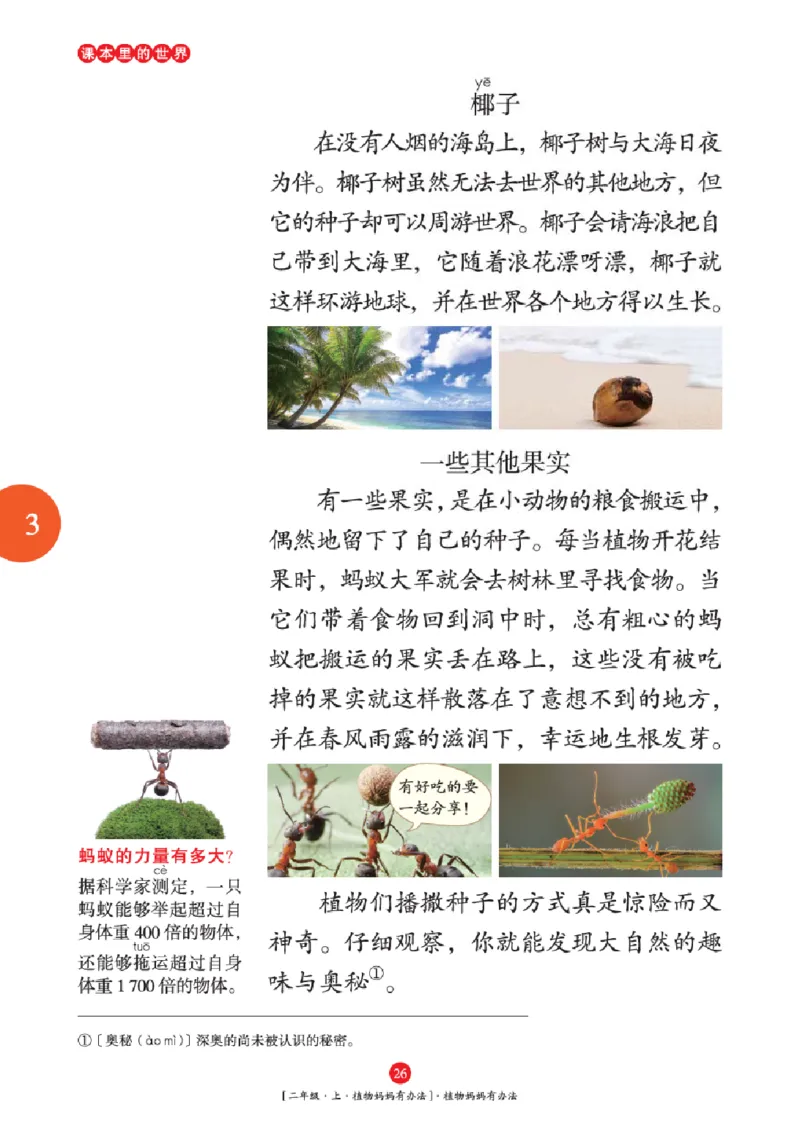 2年级-年级阅读_二年级上下册资料_小学二年级学习资料-25年更新版_2-01、小学二年级语文上册_2-1-2、练习题、作业、试题、试卷_电子册类_《绘本课堂》语文2年级上册（RJ）