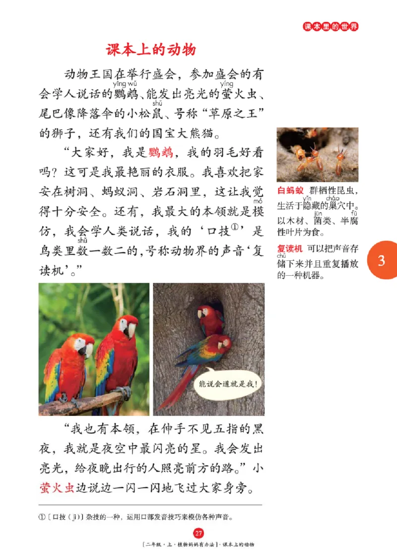 2年级-年级阅读_二年级上下册资料_小学二年级学习资料-25年更新版_2-01、小学二年级语文上册_2-1-2、练习题、作业、试题、试卷_电子册类_《绘本课堂》语文2年级上册（RJ）