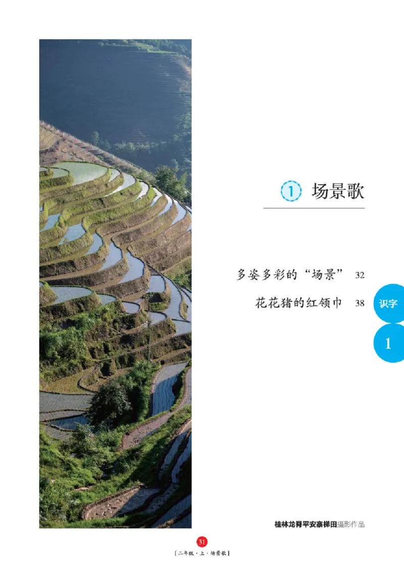 2年级-年级阅读_二年级上下册资料_小学二年级学习资料-25年更新版_2-01、小学二年级语文上册_2-1-2、练习题、作业、试题、试卷_电子册类_《绘本课堂》语文2年级上册（RJ）