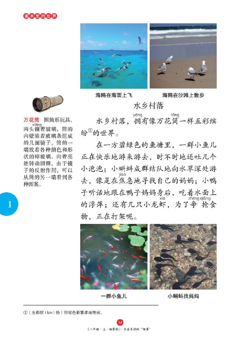 2年级-年级阅读_二年级上下册资料_小学二年级学习资料-25年更新版_2-01、小学二年级语文上册_2-1-2、练习题、作业、试题、试卷_电子册类_《绘本课堂》语文2年级上册（RJ）