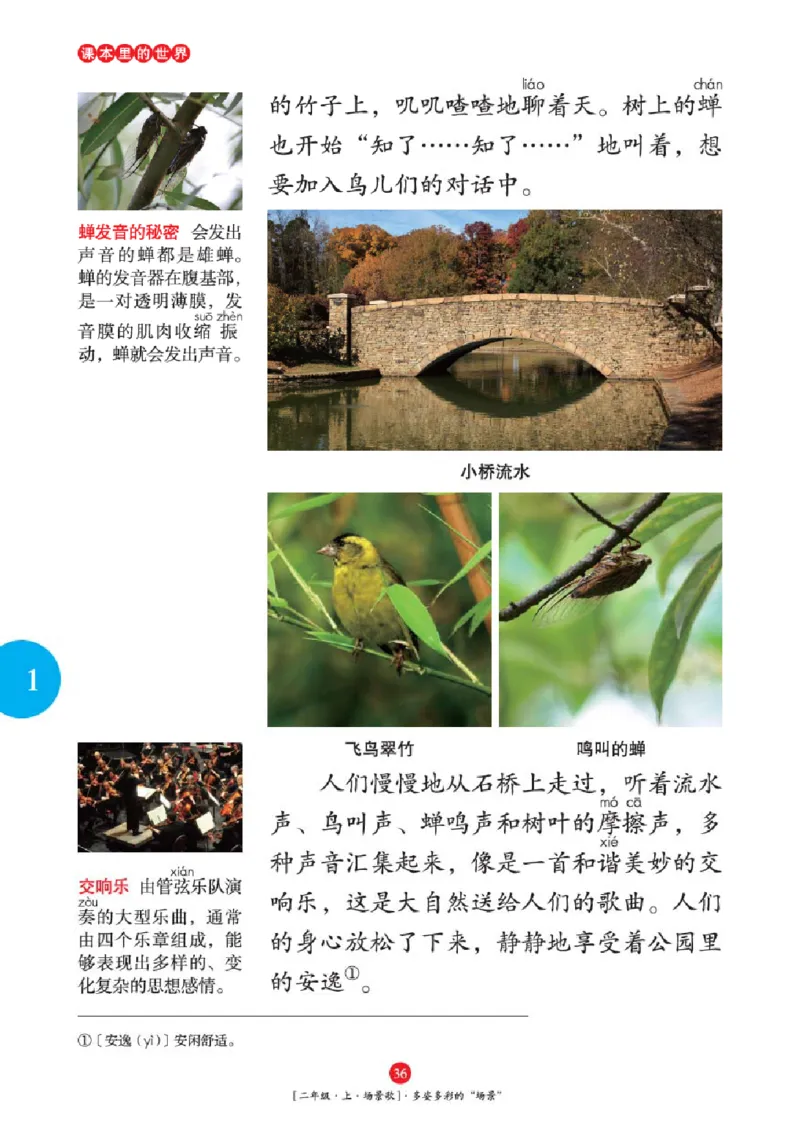 2年级-年级阅读_二年级上下册资料_小学二年级学习资料-25年更新版_2-01、小学二年级语文上册_2-1-2、练习题、作业、试题、试卷_电子册类_《绘本课堂》语文2年级上册（RJ）