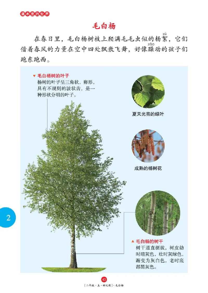 2年级-年级阅读_二年级上下册资料_小学二年级学习资料-25年更新版_2-01、小学二年级语文上册_2-1-2、练习题、作业、试题、试卷_电子册类_《绘本课堂》语文2年级上册（RJ）