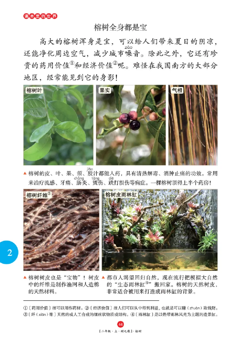 2年级-年级阅读_二年级上下册资料_小学二年级学习资料-25年更新版_2-01、小学二年级语文上册_2-1-2、练习题、作业、试题、试卷_电子册类_《绘本课堂》语文2年级上册（RJ）