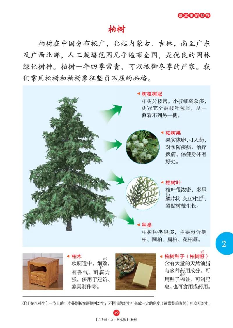 2年级-年级阅读_二年级上下册资料_小学二年级学习资料-25年更新版_2-01、小学二年级语文上册_2-1-2、练习题、作业、试题、试卷_电子册类_《绘本课堂》语文2年级上册（RJ）