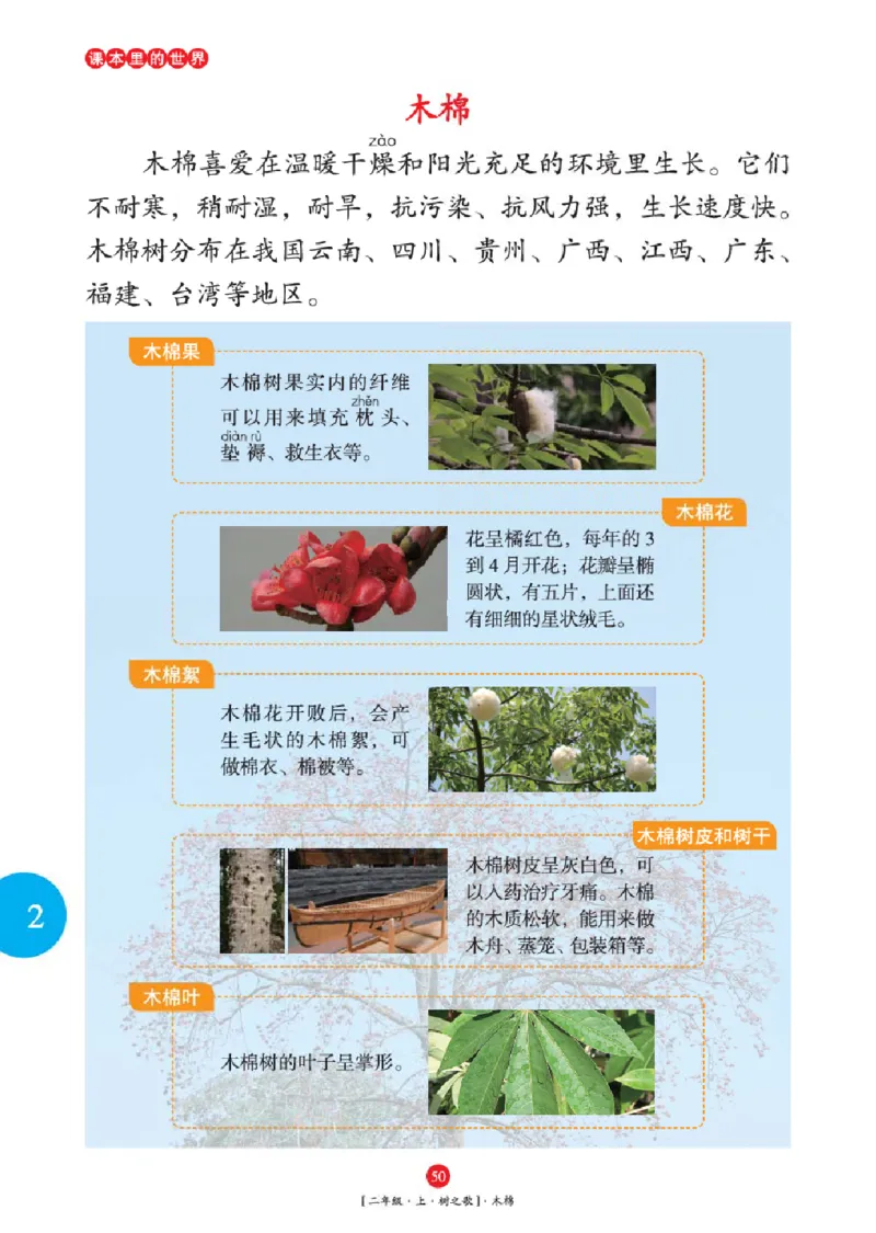 2年级-年级阅读_二年级上下册资料_小学二年级学习资料-25年更新版_2-01、小学二年级语文上册_2-1-2、练习题、作业、试题、试卷_电子册类_《绘本课堂》语文2年级上册（RJ）