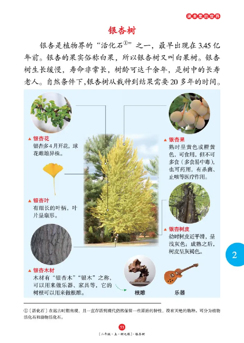 2年级-年级阅读_二年级上下册资料_小学二年级学习资料-25年更新版_2-01、小学二年级语文上册_2-1-2、练习题、作业、试题、试卷_电子册类_《绘本课堂》语文2年级上册（RJ）