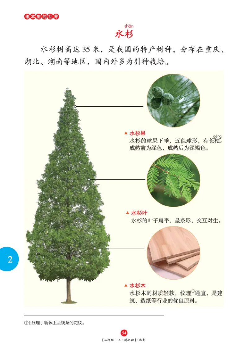 2年级-年级阅读_二年级上下册资料_小学二年级学习资料-25年更新版_2-01、小学二年级语文上册_2-1-2、练习题、作业、试题、试卷_电子册类_《绘本课堂》语文2年级上册（RJ）