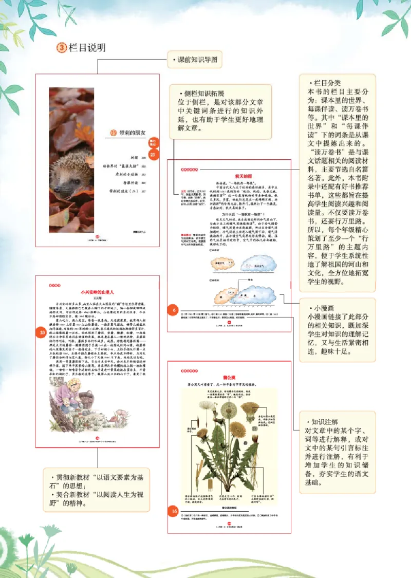 2年级-年级阅读_二年级上下册资料_小学二年级学习资料-25年更新版_2-01、小学二年级语文上册_2-1-2、练习题、作业、试题、试卷_电子册类_《绘本课堂》语文2年级上册（RJ）
