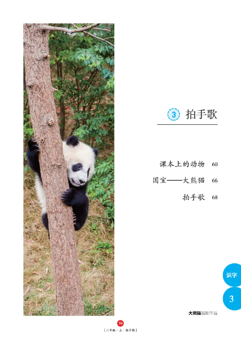 2年级-年级阅读_二年级上下册资料_小学二年级学习资料-25年更新版_2-01、小学二年级语文上册_2-1-2、练习题、作业、试题、试卷_电子册类_《绘本课堂》语文2年级上册（RJ）