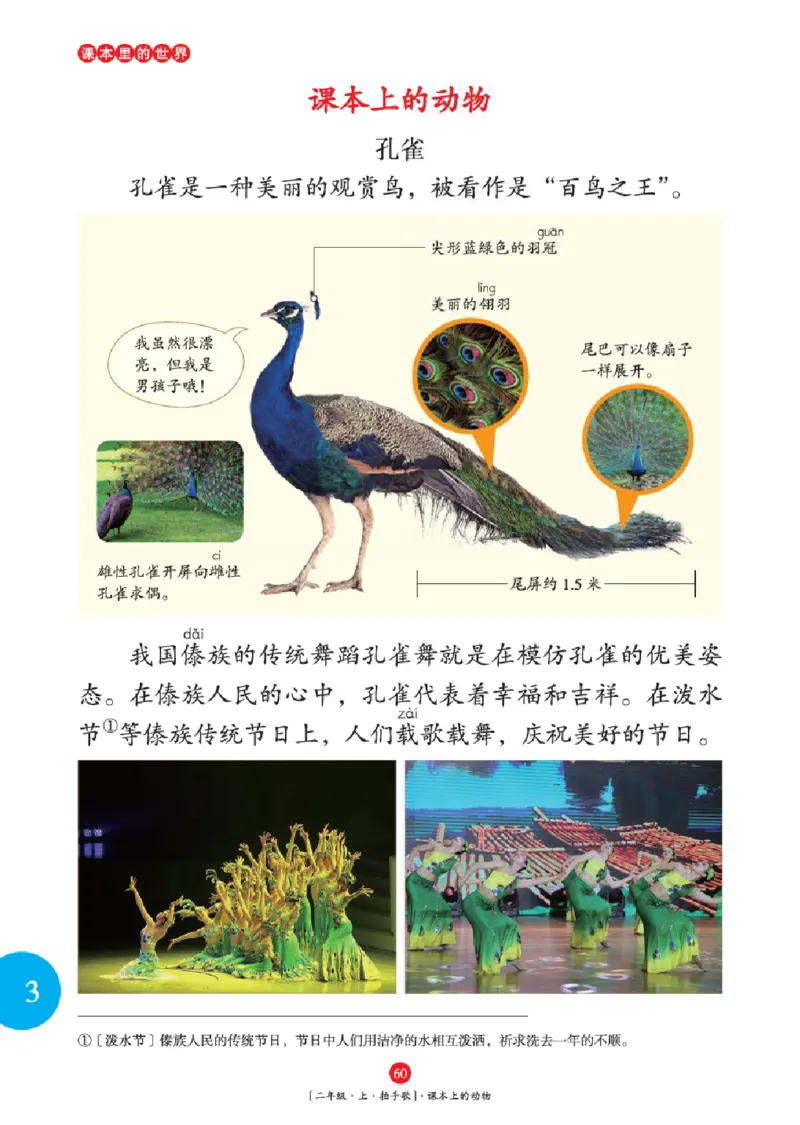 2年级-年级阅读_二年级上下册资料_小学二年级学习资料-25年更新版_2-01、小学二年级语文上册_2-1-2、练习题、作业、试题、试卷_电子册类_《绘本课堂》语文2年级上册（RJ）