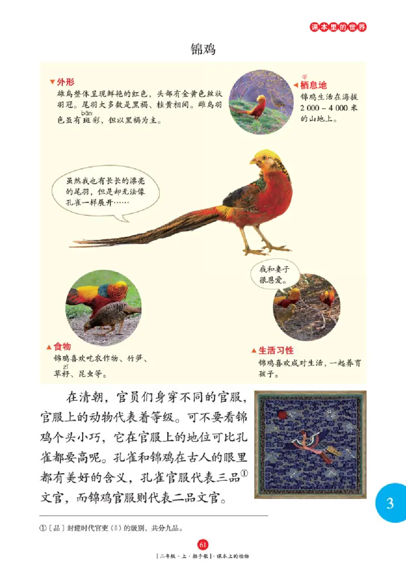 2年级-年级阅读_二年级上下册资料_小学二年级学习资料-25年更新版_2-01、小学二年级语文上册_2-1-2、练习题、作业、试题、试卷_电子册类_《绘本课堂》语文2年级上册（RJ）