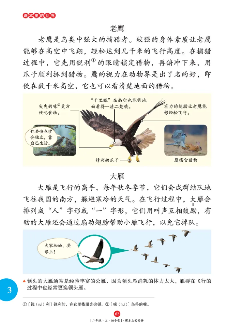 2年级-年级阅读_二年级上下册资料_小学二年级学习资料-25年更新版_2-01、小学二年级语文上册_2-1-2、练习题、作业、试题、试卷_电子册类_《绘本课堂》语文2年级上册（RJ）
