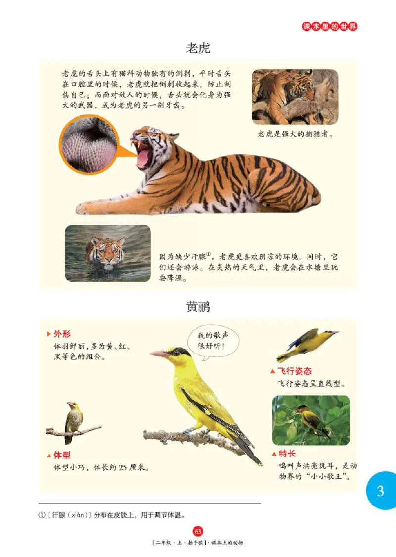 2年级-年级阅读_二年级上下册资料_小学二年级学习资料-25年更新版_2-01、小学二年级语文上册_2-1-2、练习题、作业、试题、试卷_电子册类_《绘本课堂》语文2年级上册（RJ）