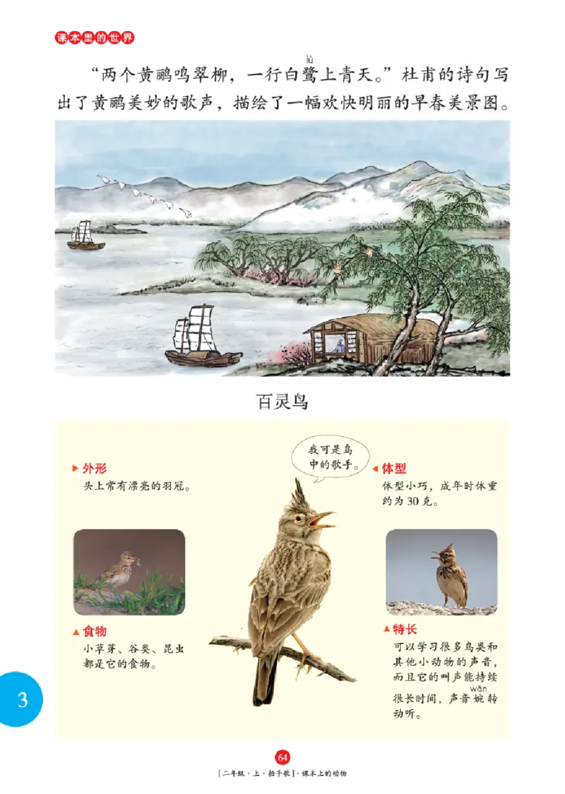 2年级-年级阅读_二年级上下册资料_小学二年级学习资料-25年更新版_2-01、小学二年级语文上册_2-1-2、练习题、作业、试题、试卷_电子册类_《绘本课堂》语文2年级上册（RJ）