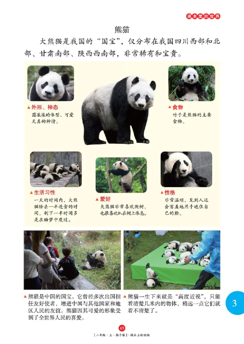 2年级-年级阅读_二年级上下册资料_小学二年级学习资料-25年更新版_2-01、小学二年级语文上册_2-1-2、练习题、作业、试题、试卷_电子册类_《绘本课堂》语文2年级上册（RJ）