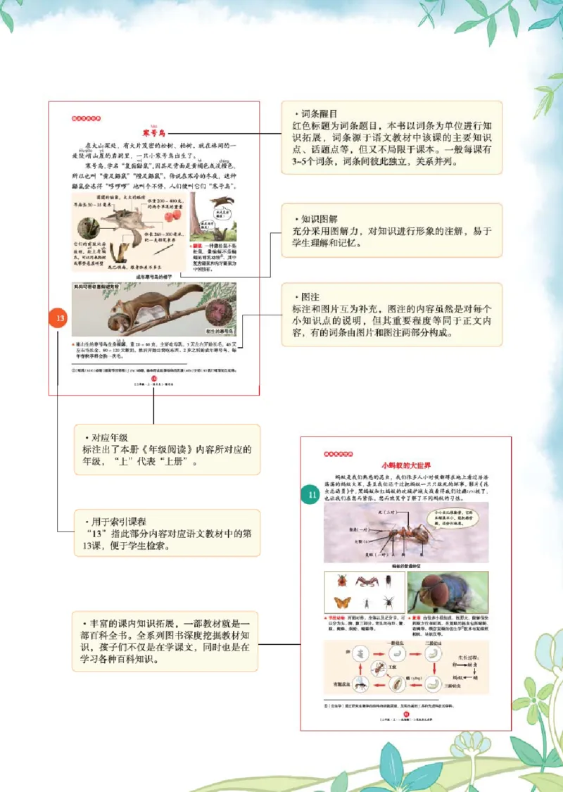 2年级-年级阅读_二年级上下册资料_小学二年级学习资料-25年更新版_2-01、小学二年级语文上册_2-1-2、练习题、作业、试题、试卷_电子册类_《绘本课堂》语文2年级上册（RJ）