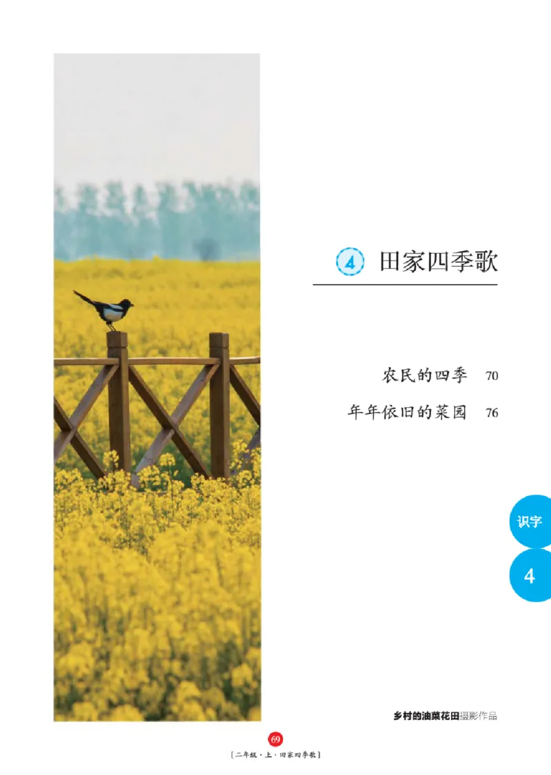 2年级-年级阅读_二年级上下册资料_小学二年级学习资料-25年更新版_2-01、小学二年级语文上册_2-1-2、练习题、作业、试题、试卷_电子册类_《绘本课堂》语文2年级上册（RJ）