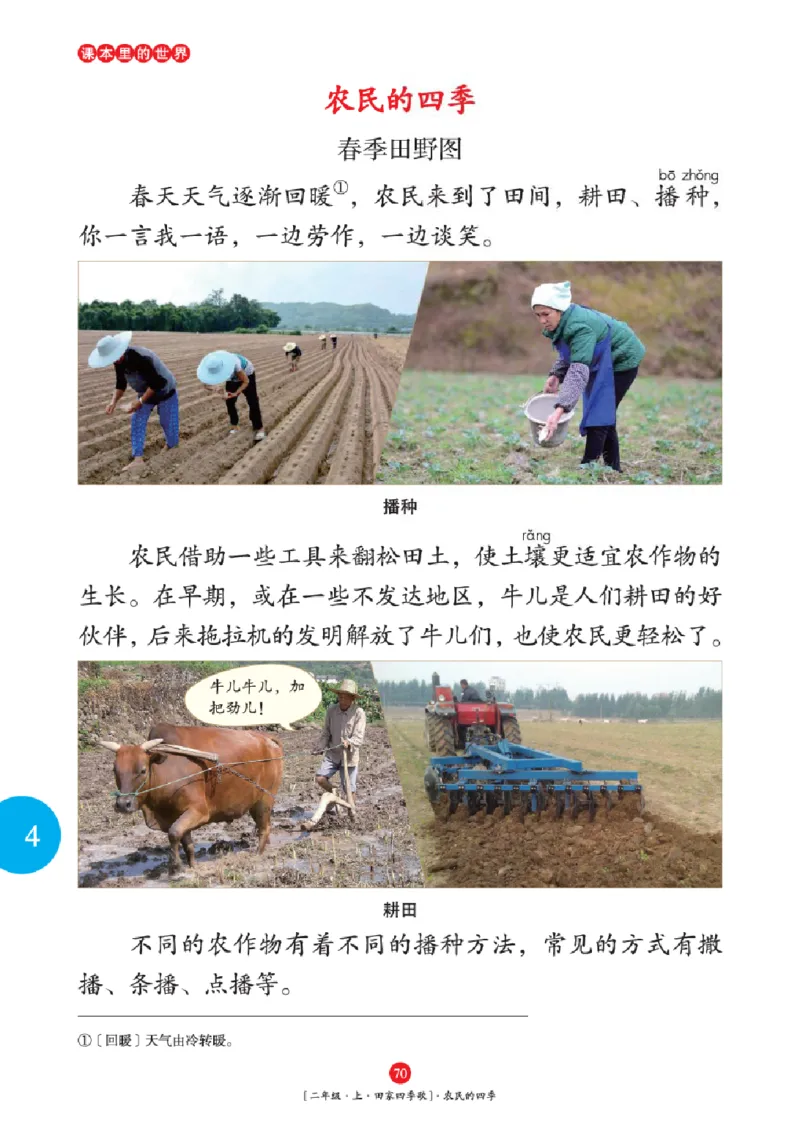 2年级-年级阅读_二年级上下册资料_小学二年级学习资料-25年更新版_2-01、小学二年级语文上册_2-1-2、练习题、作业、试题、试卷_电子册类_《绘本课堂》语文2年级上册（RJ）