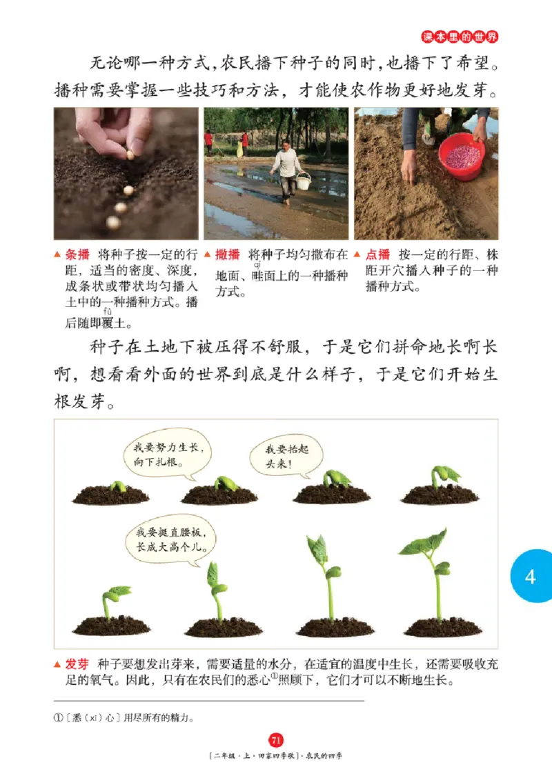 2年级-年级阅读_二年级上下册资料_小学二年级学习资料-25年更新版_2-01、小学二年级语文上册_2-1-2、练习题、作业、试题、试卷_电子册类_《绘本课堂》语文2年级上册（RJ）