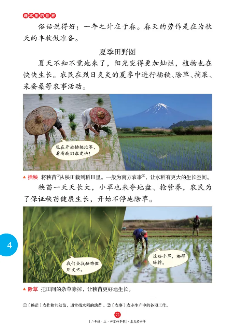 2年级-年级阅读_二年级上下册资料_小学二年级学习资料-25年更新版_2-01、小学二年级语文上册_2-1-2、练习题、作业、试题、试卷_电子册类_《绘本课堂》语文2年级上册（RJ）