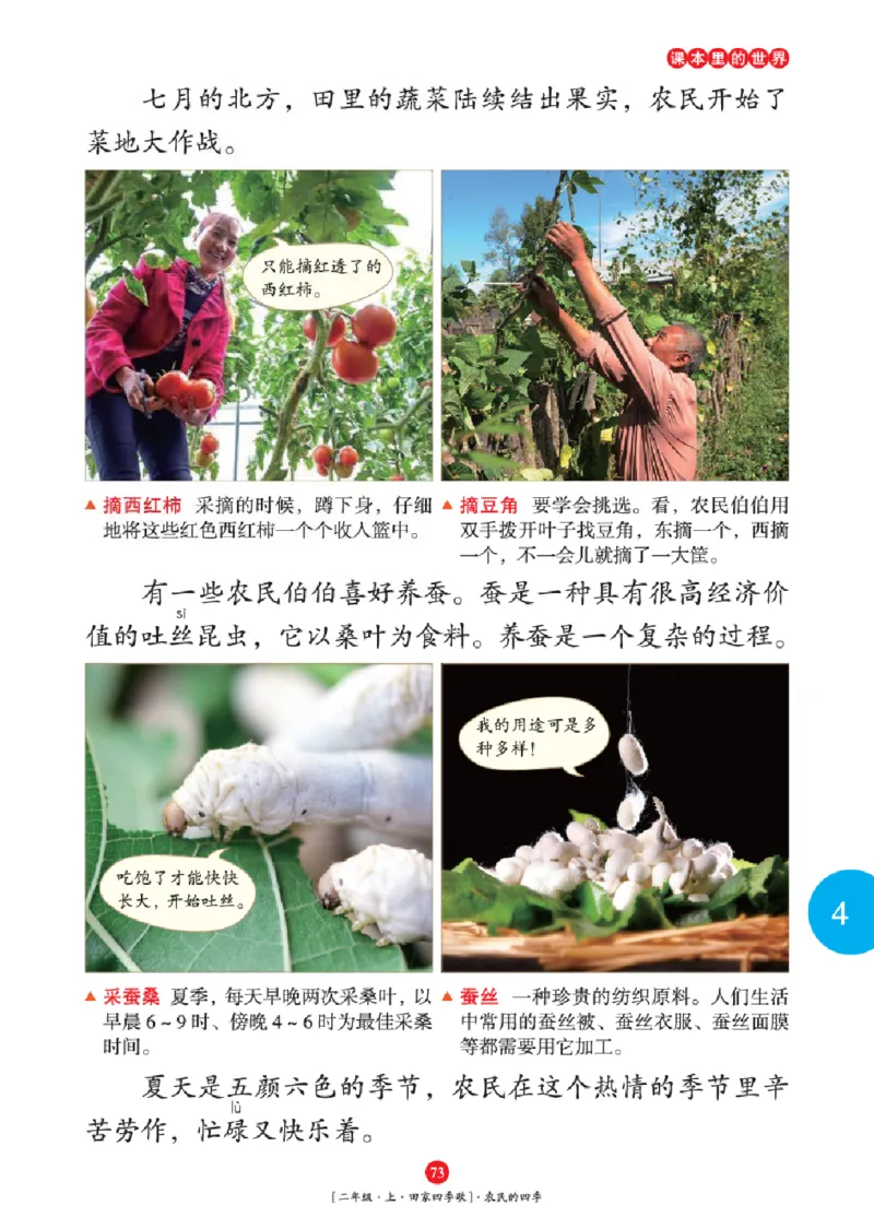 2年级-年级阅读_二年级上下册资料_小学二年级学习资料-25年更新版_2-01、小学二年级语文上册_2-1-2、练习题、作业、试题、试卷_电子册类_《绘本课堂》语文2年级上册（RJ）