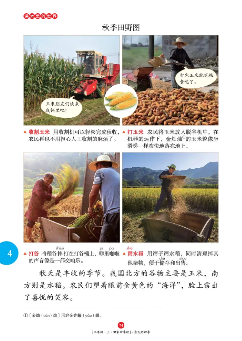 2年级-年级阅读_二年级上下册资料_小学二年级学习资料-25年更新版_2-01、小学二年级语文上册_2-1-2、练习题、作业、试题、试卷_电子册类_《绘本课堂》语文2年级上册（RJ）