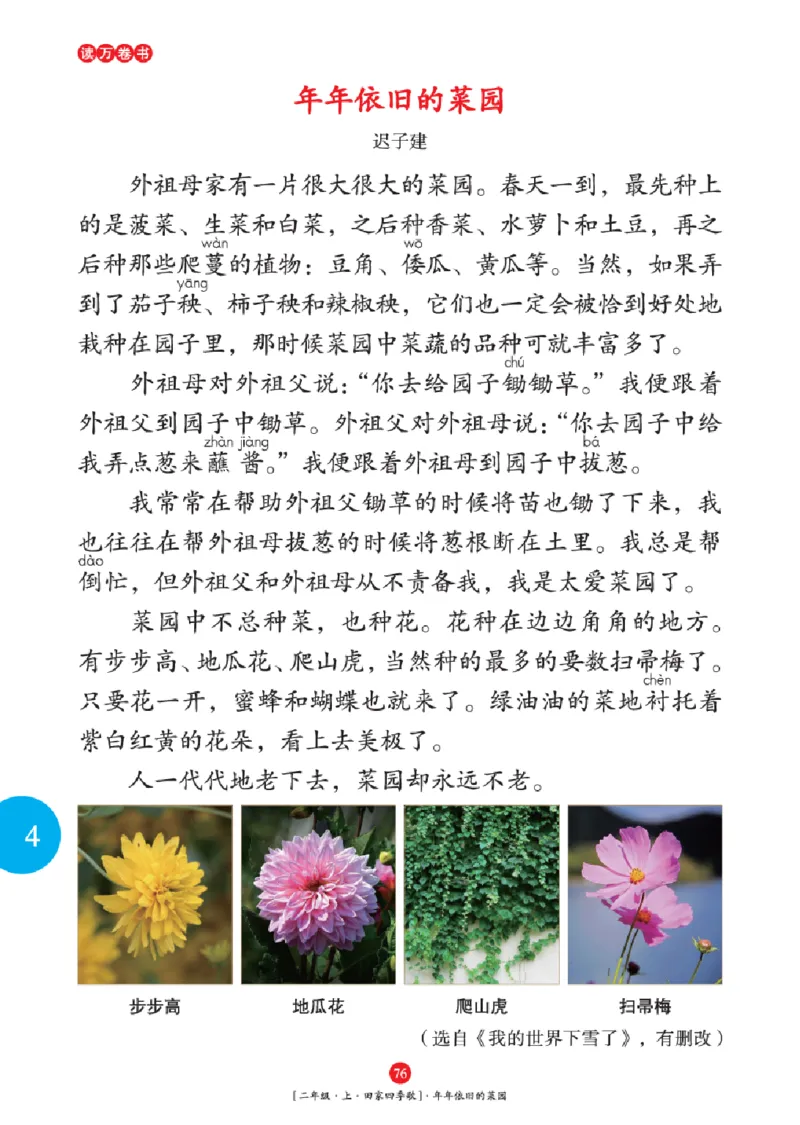 2年级-年级阅读_二年级上下册资料_小学二年级学习资料-25年更新版_2-01、小学二年级语文上册_2-1-2、练习题、作业、试题、试卷_电子册类_《绘本课堂》语文2年级上册（RJ）