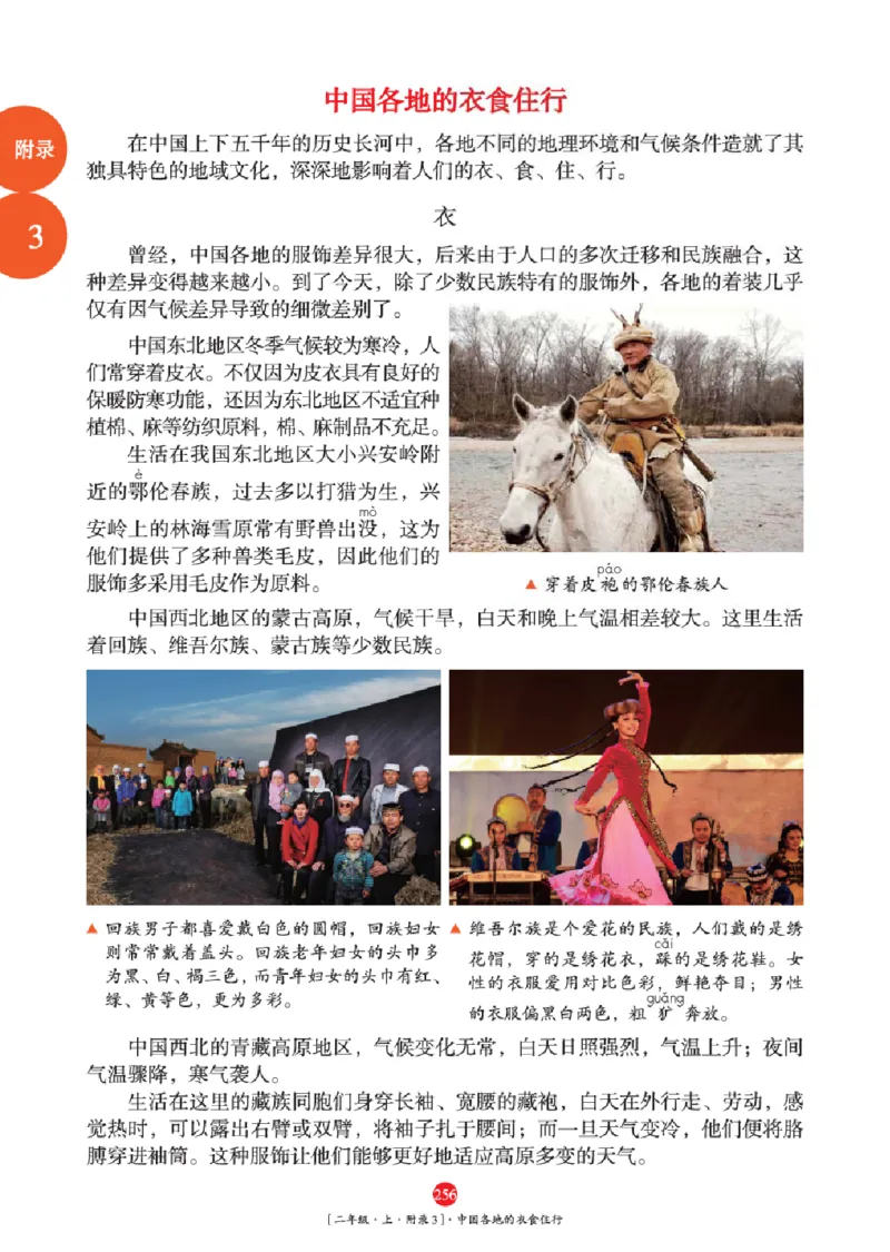 2年级-年级阅读_二年级上下册资料_小学二年级学习资料-25年更新版_2-01、小学二年级语文上册_2-1-2、练习题、作业、试题、试卷_电子册类_《绘本课堂》语文2年级上册（RJ）