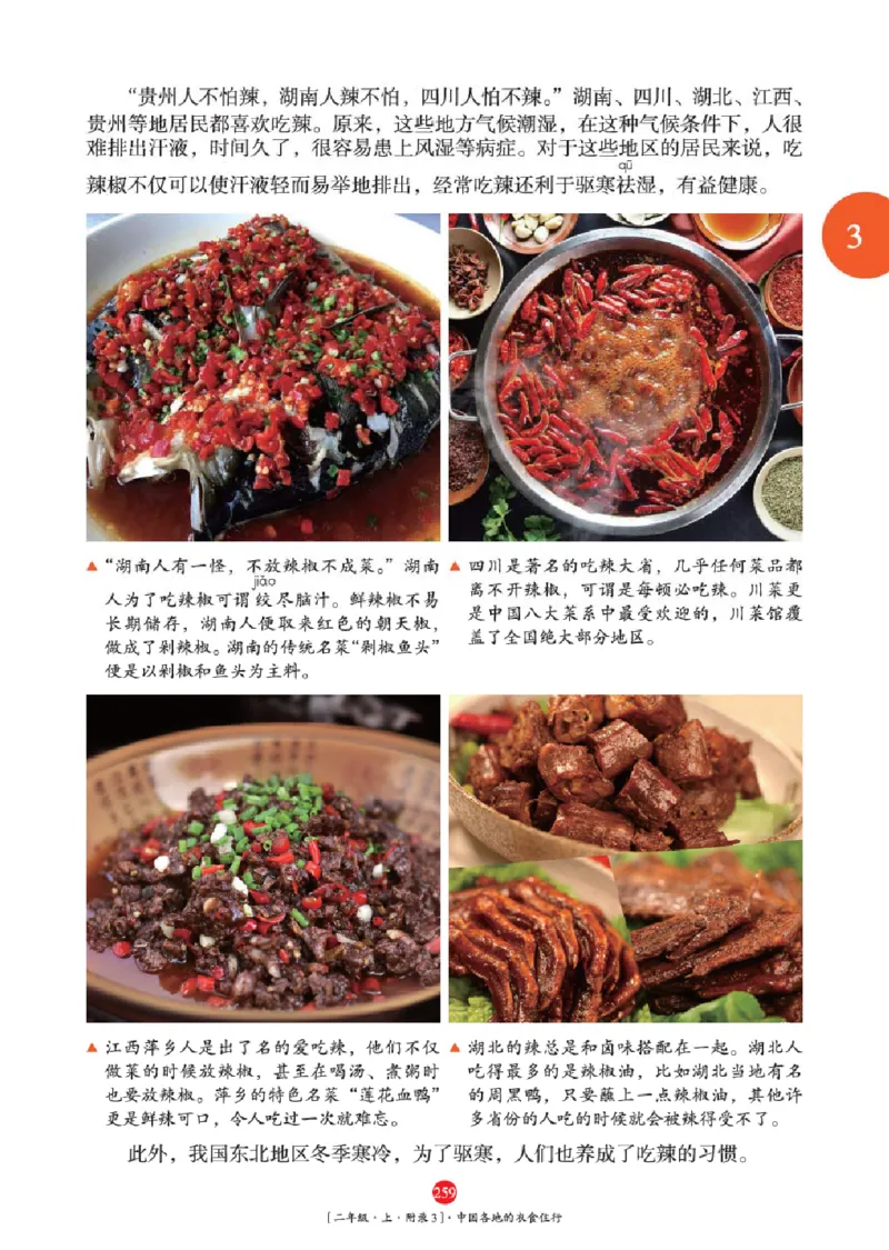 2年级-年级阅读_二年级上下册资料_小学二年级学习资料-25年更新版_2-01、小学二年级语文上册_2-1-2、练习题、作业、试题、试卷_电子册类_《绘本课堂》语文2年级上册（RJ）