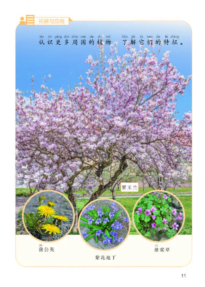 人教版1年级科学下册高清教材_全部版本&bull;小学科学电子课本_人教版小学科学电子课本