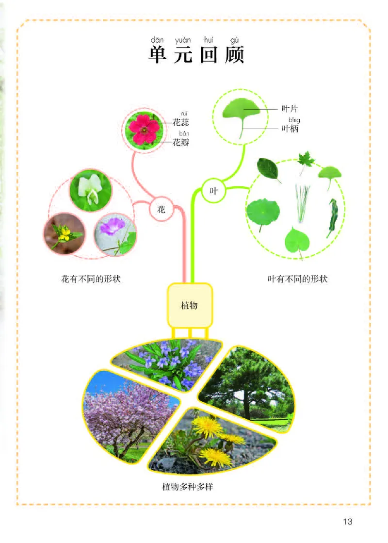 人教版1年级科学下册高清教材_全部版本&bull;小学科学电子课本_人教版小学科学电子课本