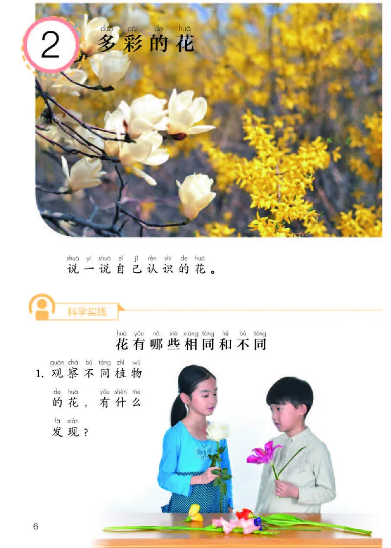 人教版1年级科学下册高清教材_全部版本&bull;小学科学电子课本_人教版小学科学电子课本