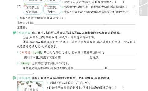 期中《语文园地专项练习》（5年级上）_🍎⭐️期中语文园地25年上册