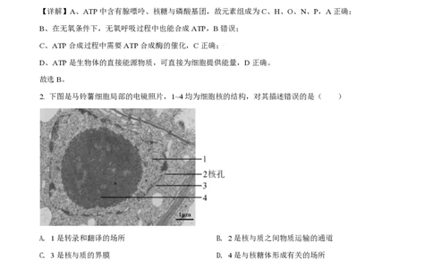 2021年高考生物试卷（北京）（解析卷）_生物历年高考真题_新&middot;PDF版2008-2025&middot;高考生物真题_生物（按省份分类）2008-2025_2008-2025&middot;（北京）生物高考真题
