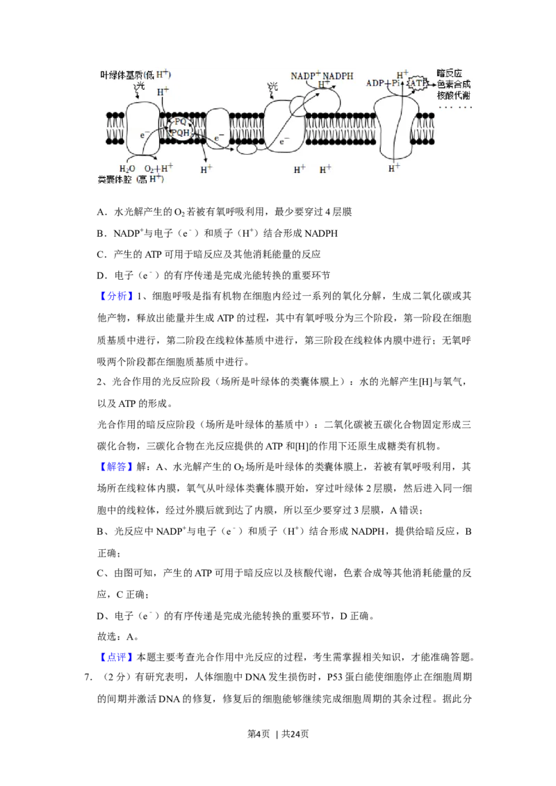 2021年高考生物试卷（重庆）（解析卷）_生物历年高考真题_新&middot;Word版2008-2025&middot;高考生物真题_生物（按年份分类）2008-2025_2021&middot;高考生物真题