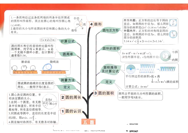 数学RJ6年级上册：单元知识树_2026版小白鸥6年级上人教数学情景题