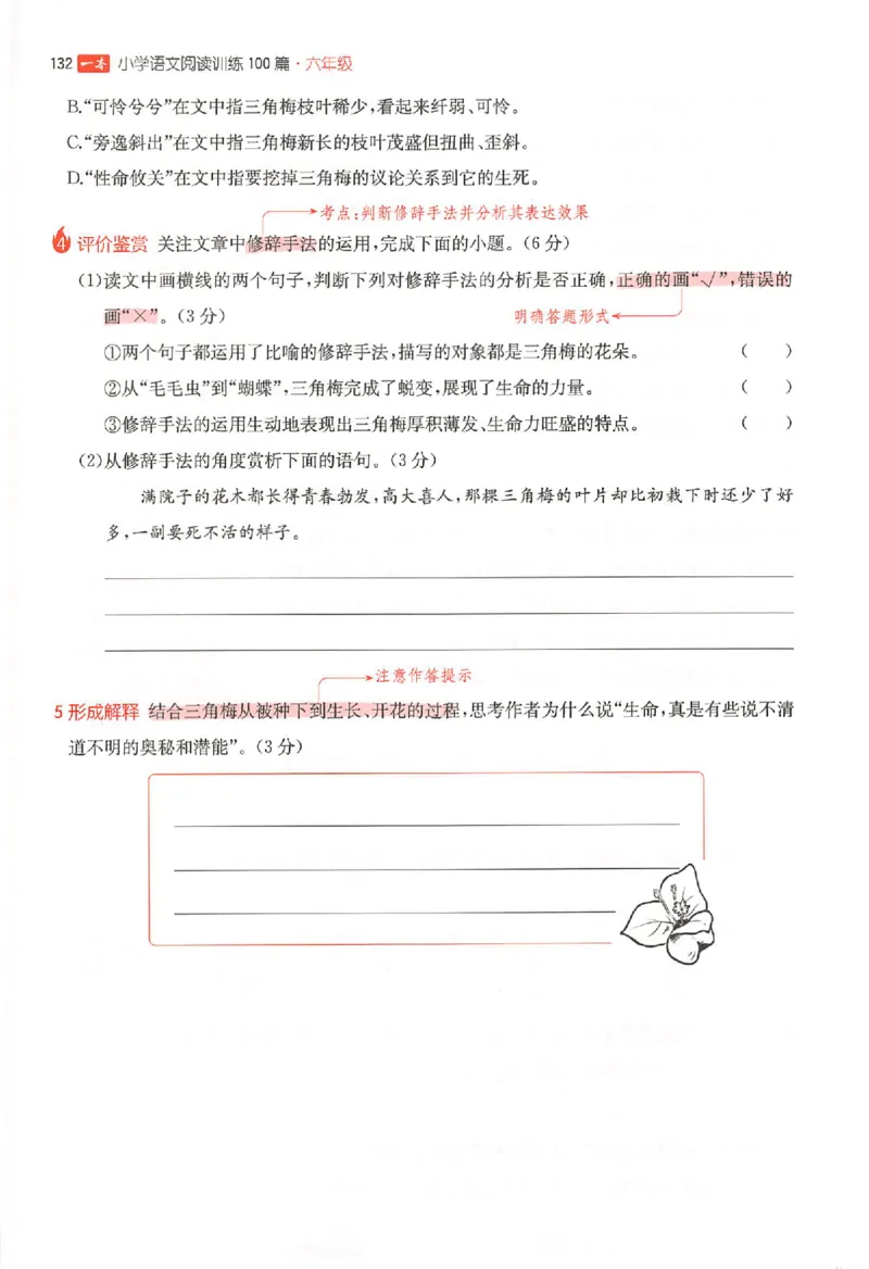 26版一本阅读六年级_25秋《一本小学语文阅读训练100篇第13版》1-6_一本小语阅读训练100篇六年级