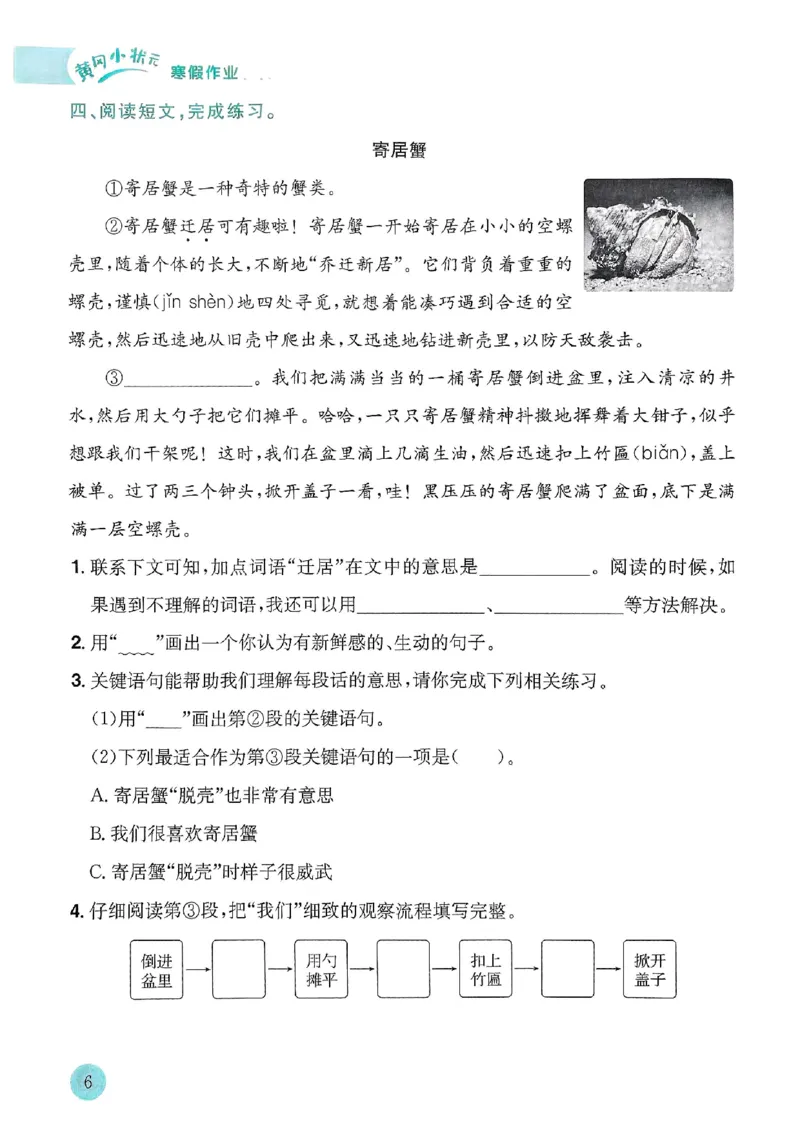 25春黄冈小状元寒假作业人教语文3上_三年级上下册资料_53黄冈多个品牌系列资料_语文