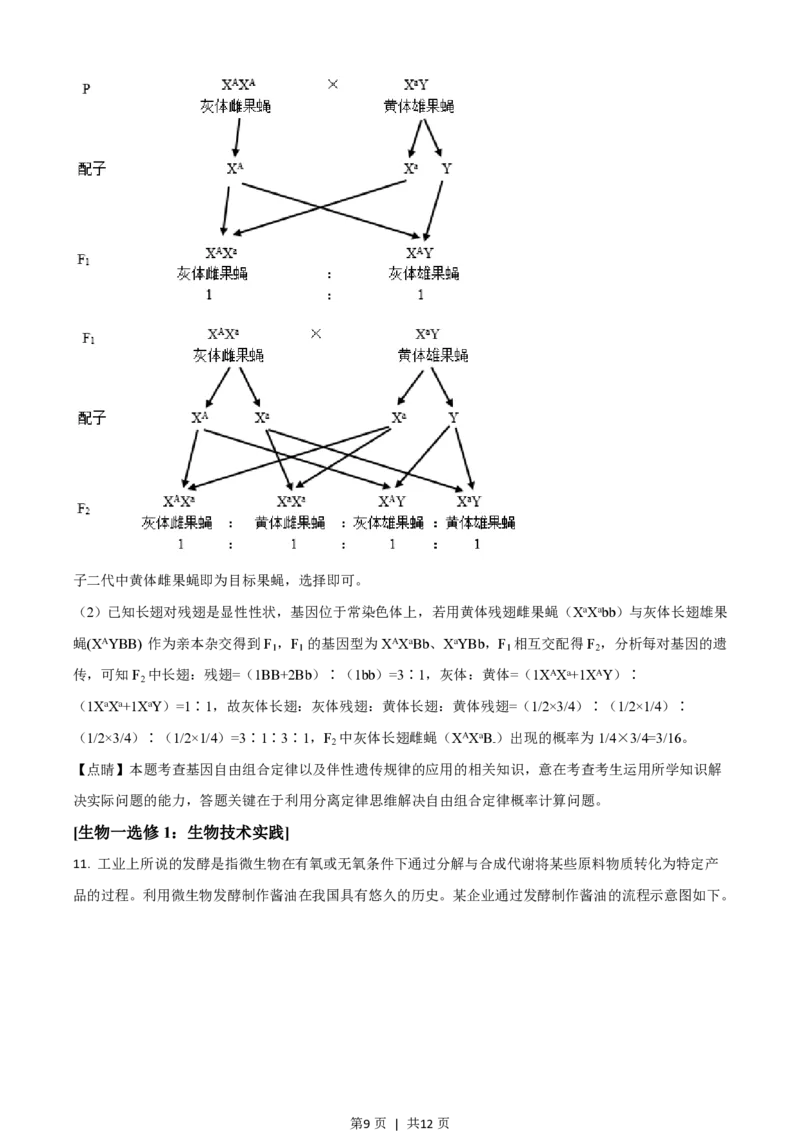 2021年高考生物试卷（全国乙卷）（解析卷）_生物历年高考真题_新&middot;PDF版2008-2025&middot;高考生物真题_生物（按试卷类型分类）2008-2025_全国卷&middot;生物（2008-2024）