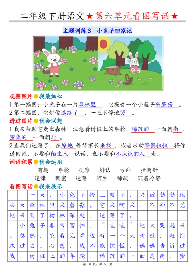 2051二下语文1-8单元看图写话指导与范文（范文+练习100页）_二年级上下册资料_二年级下册小红书同款资料_二下语文_二下语文