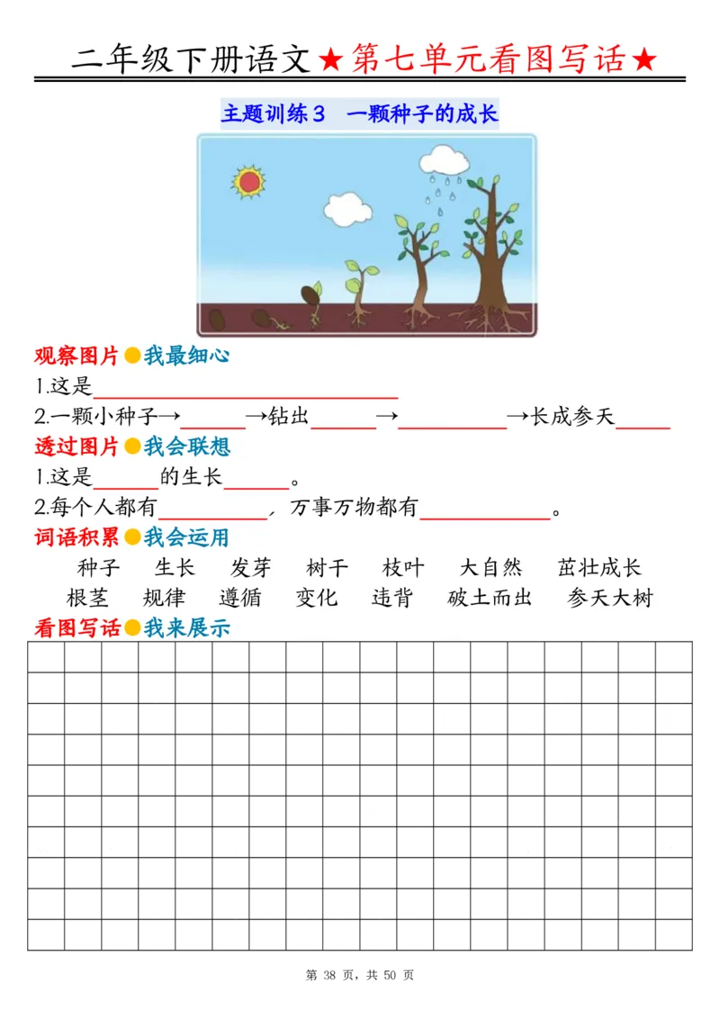 2051二下语文1-8单元看图写话指导与范文（范文+练习100页）_二年级上下册资料_二年级下册小红书同款资料_二下语文_二下语文
