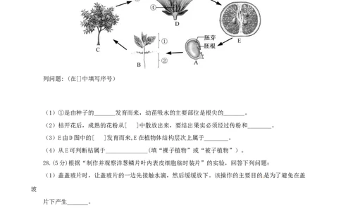 2017年福建省中考生物真题（空白卷）_福建中考1_6.福建中考生物（2017-2025）