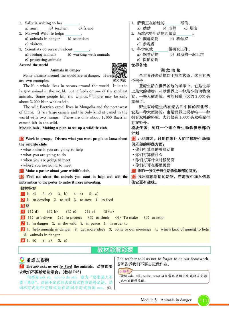 外研版英语八年级上册《教材全解》_25秋初中「外研版英语7-9年级上册教材全解