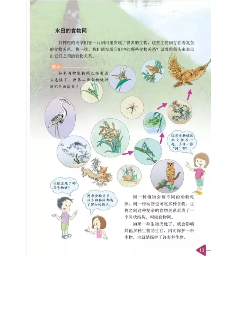 五年级上册科学教科版电子课本_全部版本&bull;小学科学电子课本_教科版小学科学电子课本_旧版